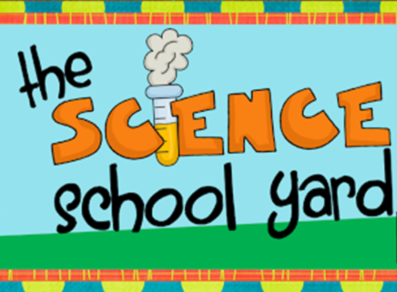 The Science School Yard