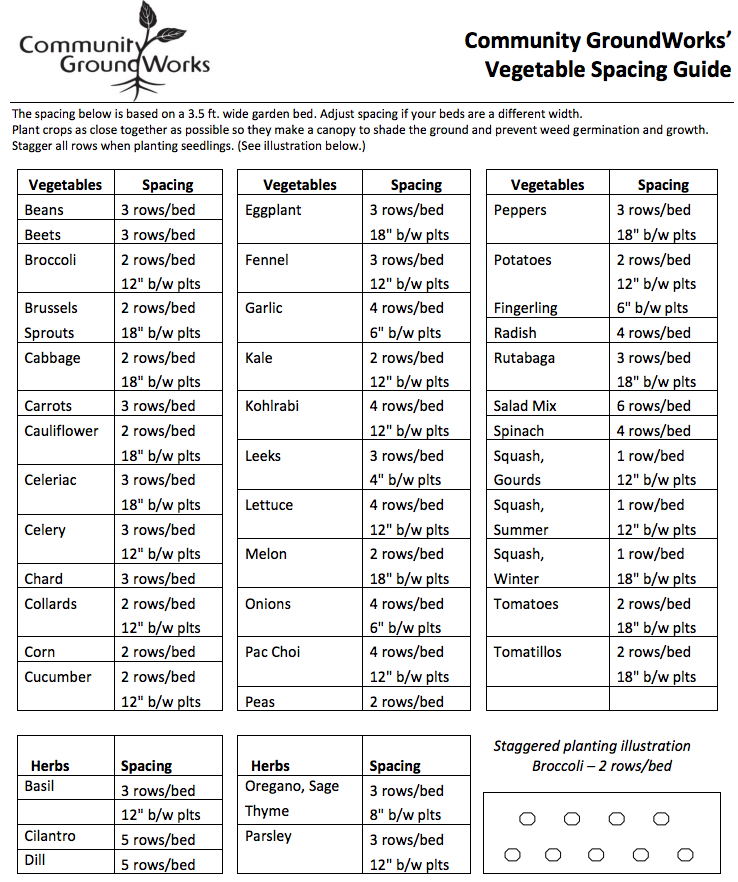 Vegetable Plant Spacing Chart Pdf