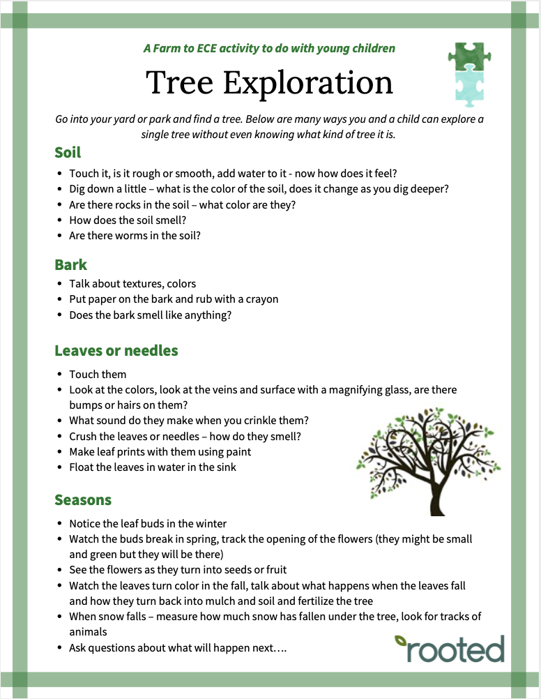 Tree Exploration Activity for Young Children